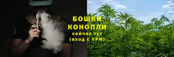 СК Волосово