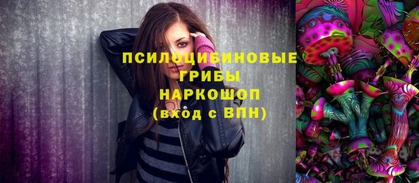 СК Волосово