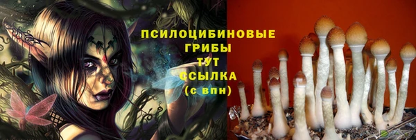 эйфоретик Вязники