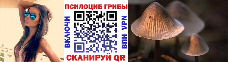 Псилоцибиновые грибы GOLDEN TEACHER  Подпорожье 