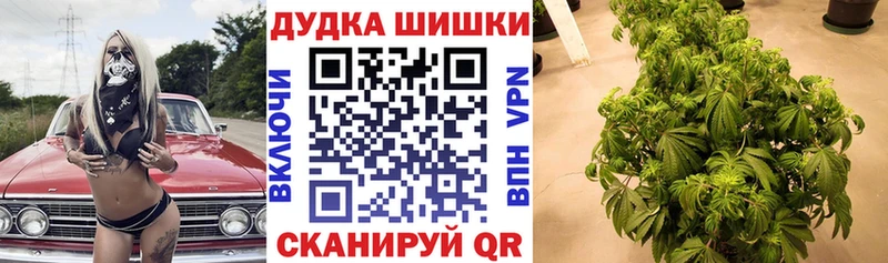 Марихуана планчик  купить наркотики цена  Подпорожье 